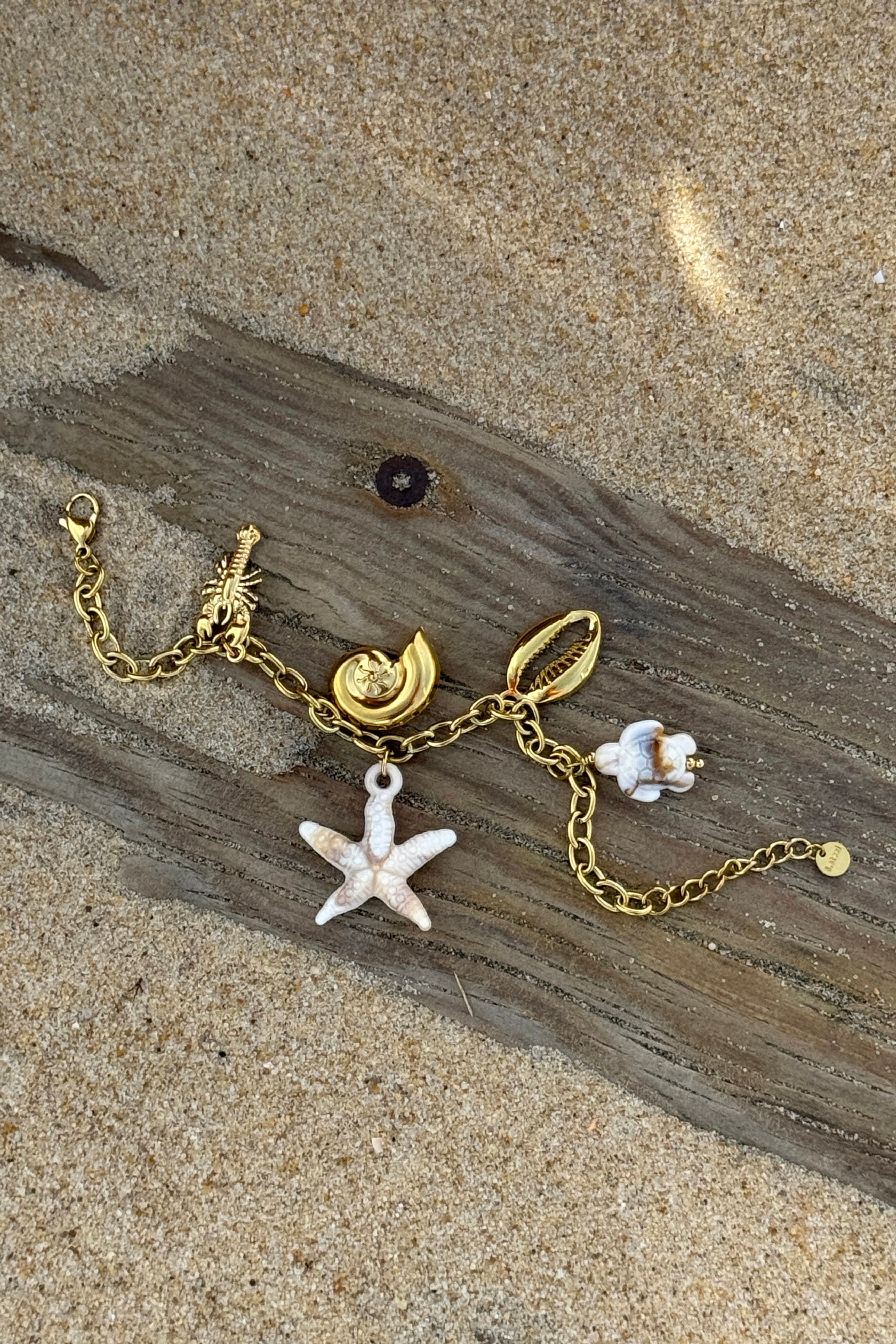 Golden Chain Ocean Treasures Charm Bracelet