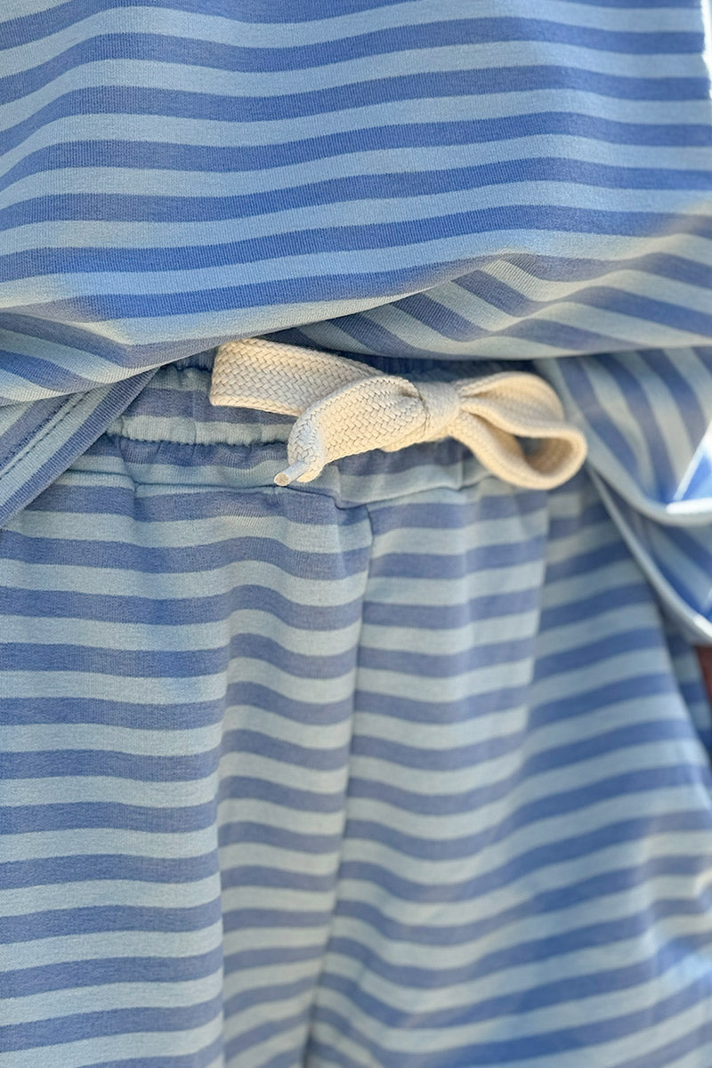 Blue Striped Drawstring Jersey Shorts
