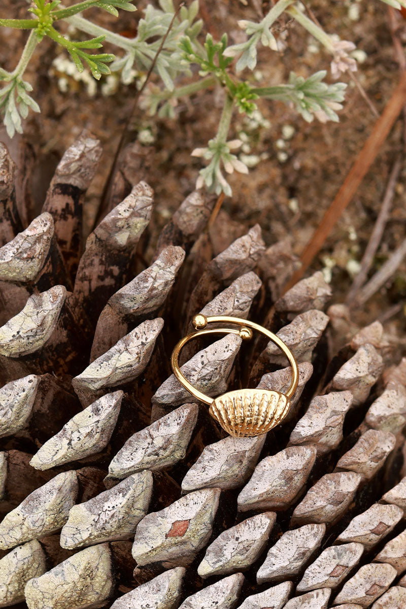 Goldtone Clamshell Ring