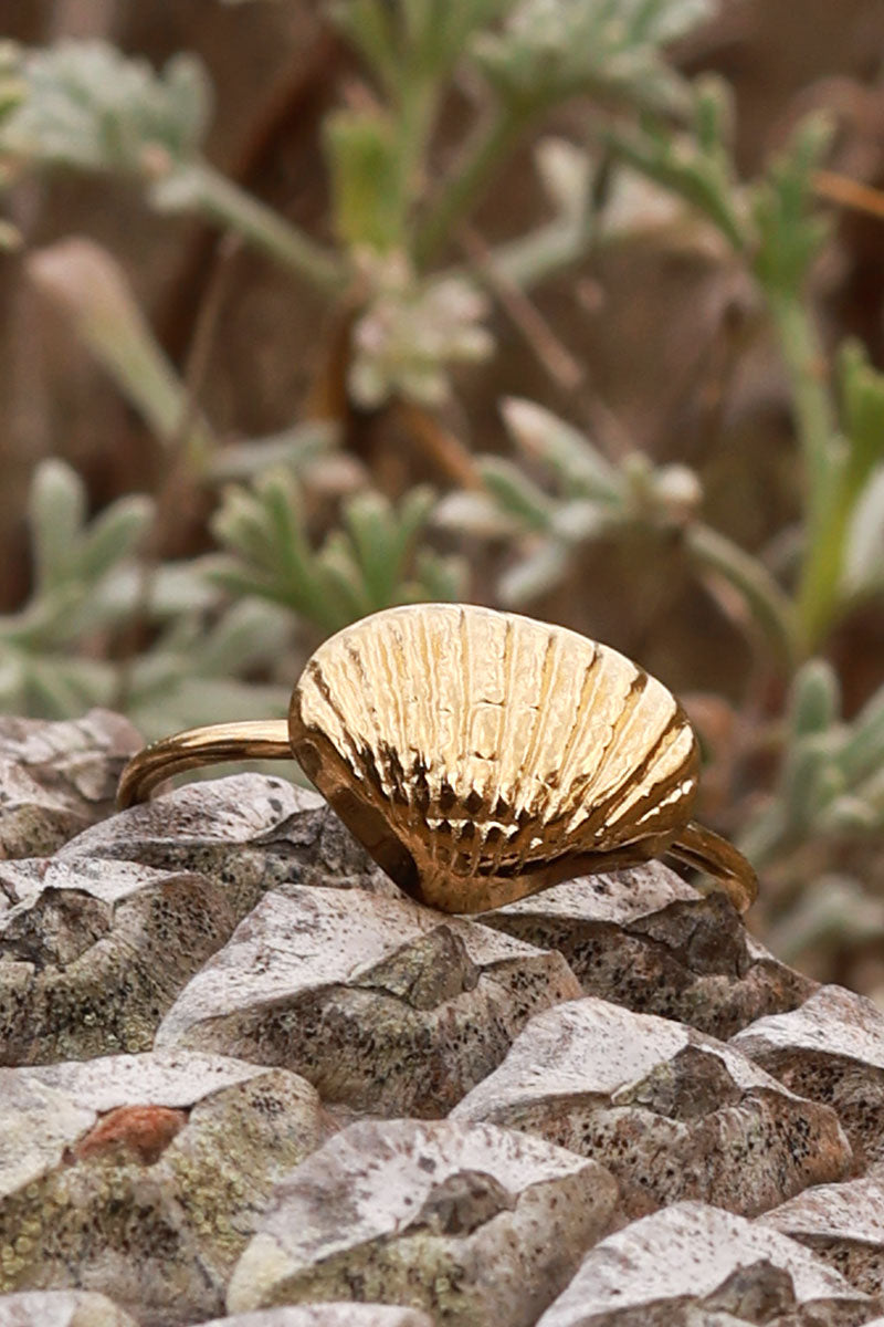 Goldtone Clamshell Ring