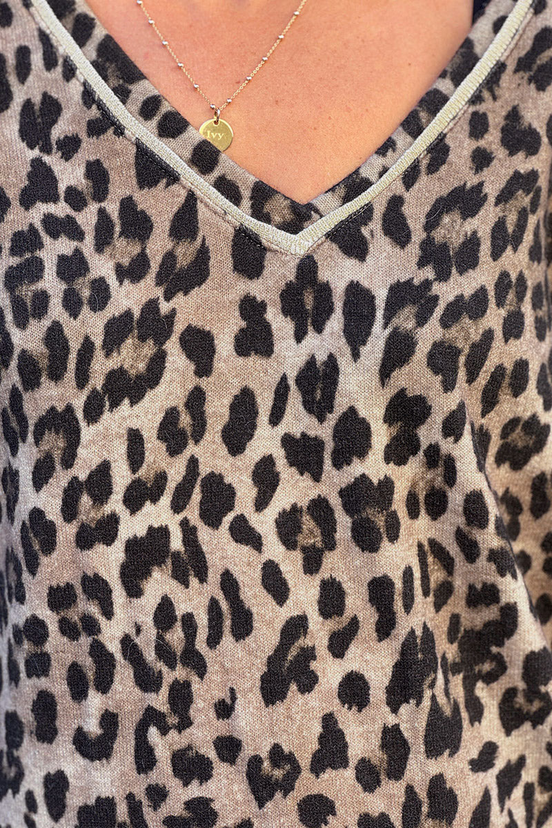 Light Brown Leopard Print V-Neck Sweater