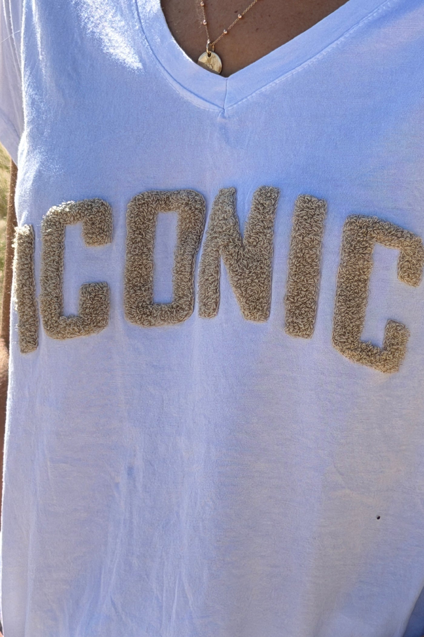 Beige ICONIC Varsity Tshirt